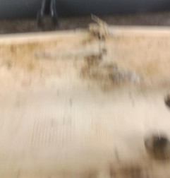 Pare choc avant RENAULT MASTER 2 Photo n°6