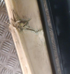 Pare choc avant RENAULT MASTER 2 Photo n°7