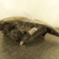 Optique avant principal gauche (feux)(phare) CITROEN C3 1
