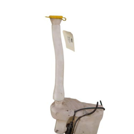 Vase de lave glace RENAULT MASTER 3