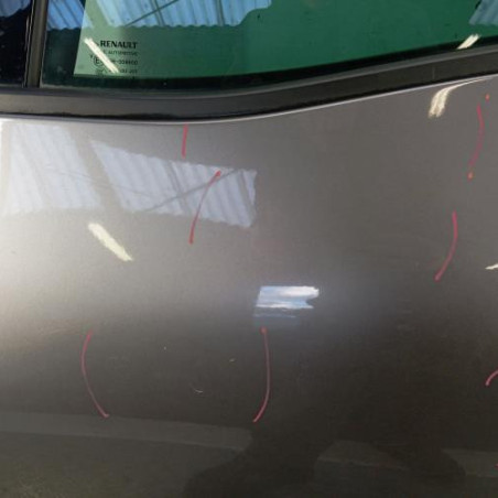 Porte arriere gauche RENAULT SCENIC 4