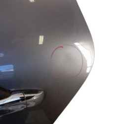 Porte arriere gauche RENAULT SCENIC 4 Photo n°4