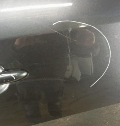 Porte avant droit RENAULT FLUENCE