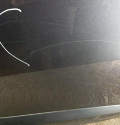 Porte avant droit RENAULT FLUENCE Photo n°3