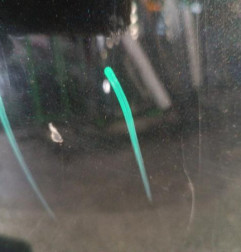 Porte arriere droit TOYOTA YARIS 2 Photo n°4