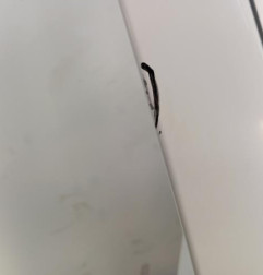 Porte avant droit CITROEN BERLINGO 2 Photo n°3