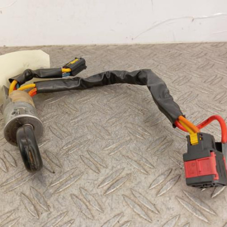 Neiman PEUGEOT 206 Photo n°1