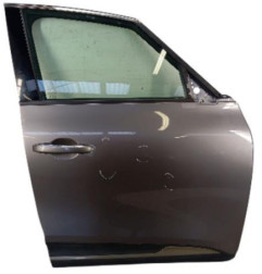 Porte avant droit RENAULT SCENIC 4 Photo n°1