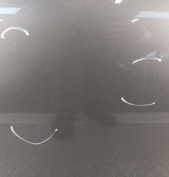 Porte avant droit RENAULT SCENIC 4