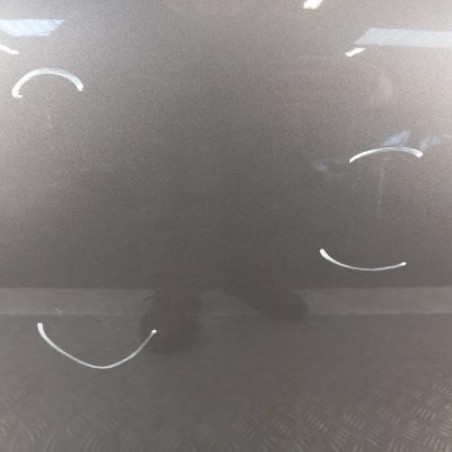 Porte avant droit RENAULT SCENIC 4