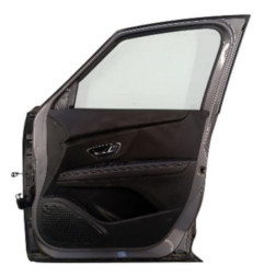 Porte avant droit RENAULT SCENIC 4 Photo n°4