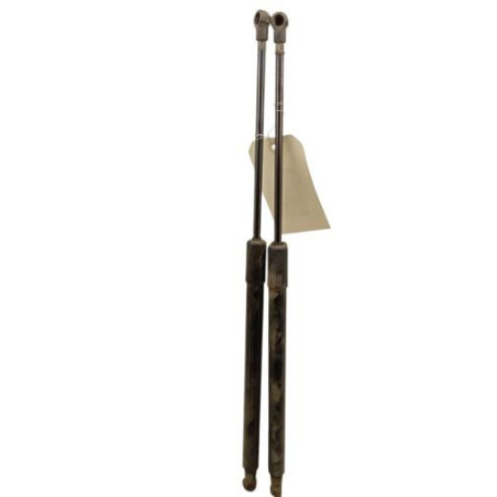 Verin de coffre RENAULT SCENIC 4