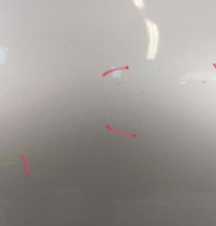 Porte arriere gauche RENAULT CLIO 4 Photo n°3