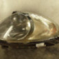 Optique avant principal droit (feux)(phare) CITROEN XSARA PICASSO