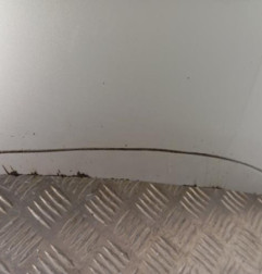 Pare choc arriere TOYOTA VERSO Photo n°6