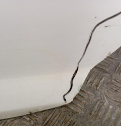 Porte avant gauche PEUGEOT 207 Photo n°3