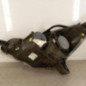 Optique avant principal droit (feux)(phare) CITROEN C3 2