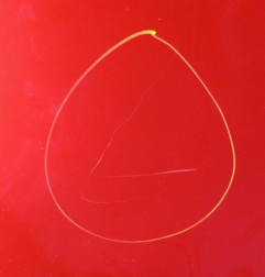 Porte arriere droit NISSAN NOTE 1