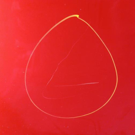 Porte arriere droit NISSAN NOTE 1