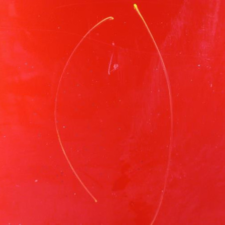 Porte avant droit NISSAN NOTE 1