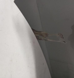 Pare choc avant CITROEN DS5 Photo n°6