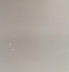 Porte arriere gauche PEUGEOT 207 Photo n°3