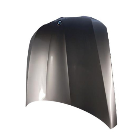 Capot BMW SERIE 3 E91