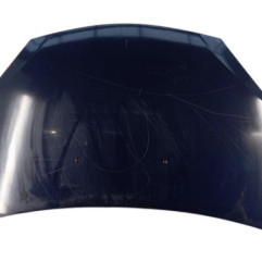 Capot DACIA SANDERO 1 Photo n°1