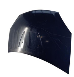 Capot DACIA SANDERO 1