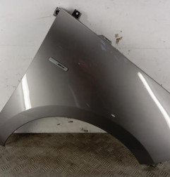 Aile avant droit RENAULT SCENIC 3 Photo n°1