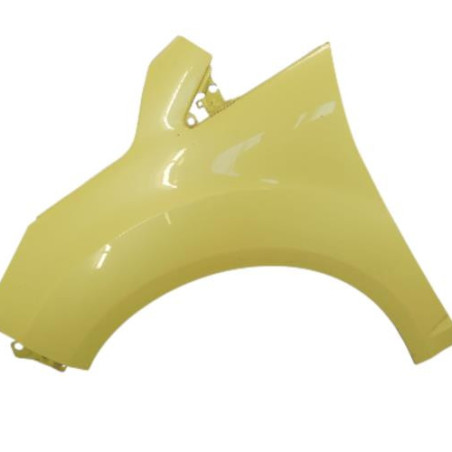 Aile avant gauche FORD C-MAX 2 Photo n°1