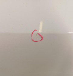 Porte avant droit VOLKSWAGEN POLO 5 Photo n°3