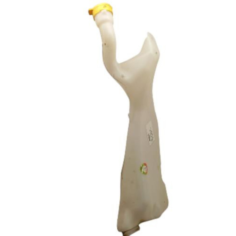 Vase de lave glace RENAULT SCENIC 4