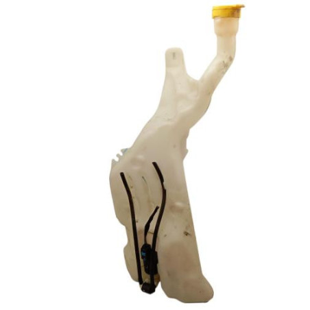 Vase de lave glace RENAULT SCENIC 4