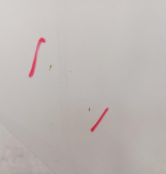 Porte arriere droit VOLKSWAGEN POLO 5