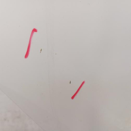 Porte arriere droit VOLKSWAGEN POLO 5