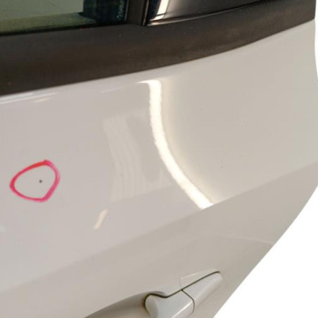 Porte arriere gauche VOLKSWAGEN POLO 5