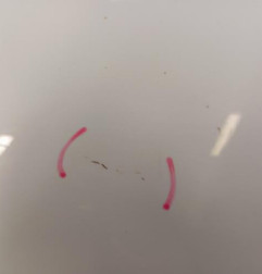 Porte arriere droit RENAULT MEGANE 4