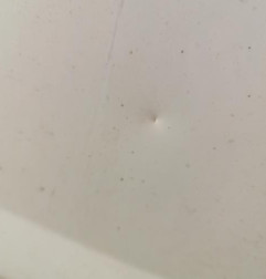 Porte de coffre droit CITROEN JUMPY 2