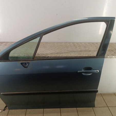 Porte avant gauche PEUGEOT 407 Photo n°1