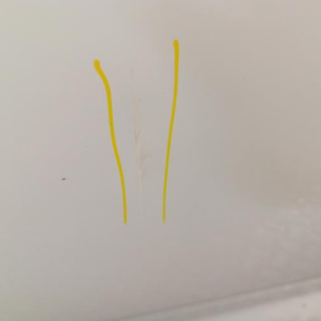 Porte arriere droit RENAULT ZOE 1