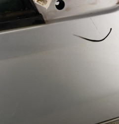 Porte avant droit PEUGEOT 406 Photo n°3