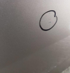 Porte avant gauche RENAULT MEGANE 4 Photo n°4