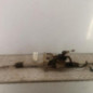 Cremaillere assistee CITROEN C3 3