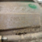 Boite de vitesses CITROEN XSARA