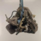 Boite de vitesses RENAULT CLIO 4