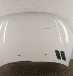 Capot PEUGEOT 206 Photo n°1