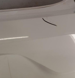 Pare choc arriere RENAULT CLIO 5 Photo n°4