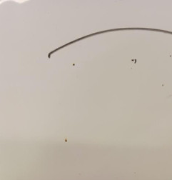 Capot CITROEN C3 PICASSO Photo n°3