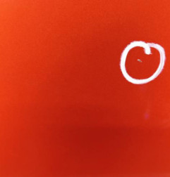 Porte avant droit RENAULT CLIO 4